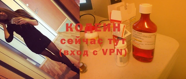 хмурый Осинники
