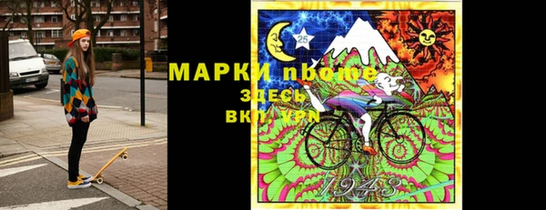 хмурый Осинники