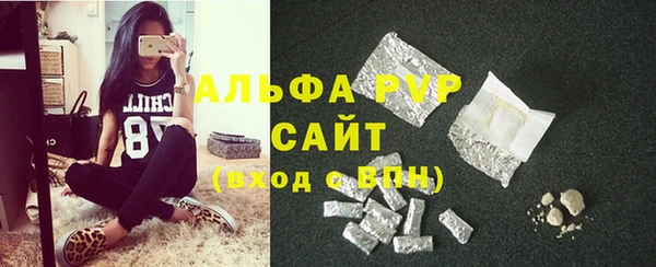 хмурый Осинники