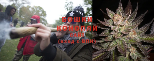 хмурый Осинники