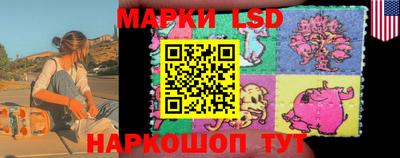 стаф Гатчина
