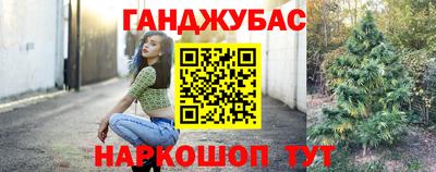 стаф Гатчина