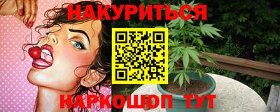 стаф Гатчина