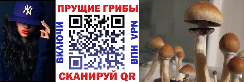 Галлюциногенные грибы ЛСД  Иваново 